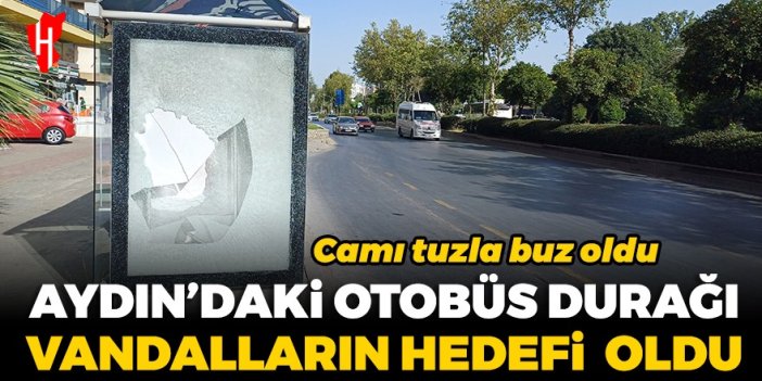 Aydın'daki otobüs durağı vandalların hedefi oldu