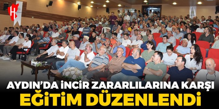 Aydın'da incir zararlılarına karşı eğitim düzenlendi