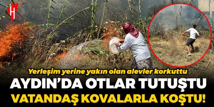 Aydın'da yangın paniği! Otluk yangınına vatandaşlar müdahale etti