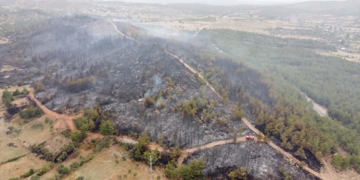 Ege’nin ciğerleri kül oldu! 4 ilde peş peşe orman yangınları çıktı