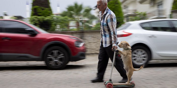 Aydın'da Muharrem amca sahiplendiği köpeği skuterle gezdirip salıncağa bindiriyor