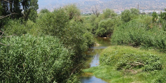 Bölgenin can damarı Büyük Menderes Nehri, Adıgüzel Barajı'ndan bırakılacak suyu bekliyor