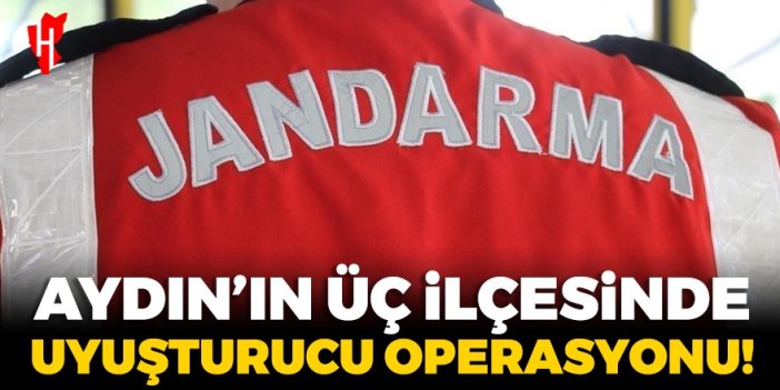 Aydın'ın üç ilçesinde uyuşturucu operasyonu!