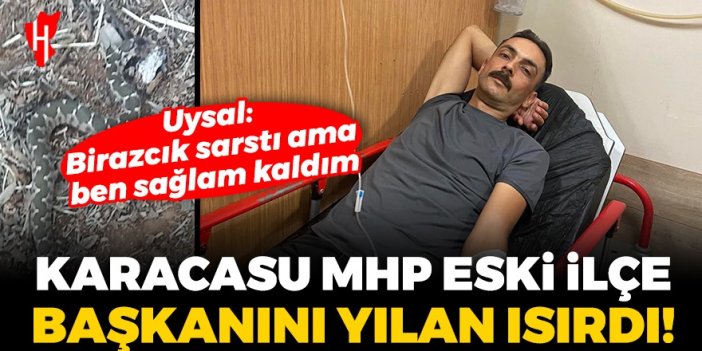 Karacasu MHP eski İlçe Başkanını yılan ısırdı!