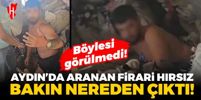 Aydın'da aranan firari hırsızın saklandığı yer polis ekiplerini şaşırttı!