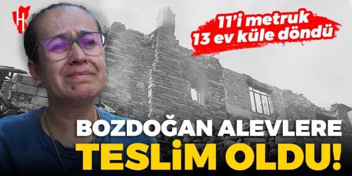 Gözyaşlarını tutamadı… Bozdoğan alevlere teslim oldu: 11’i metruk 13 ev küle döndü