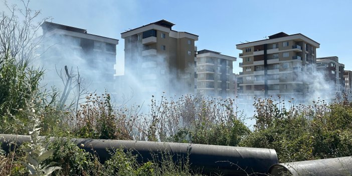 Nazilli'de yangın paniği: Vatandaşlar seferber oldu