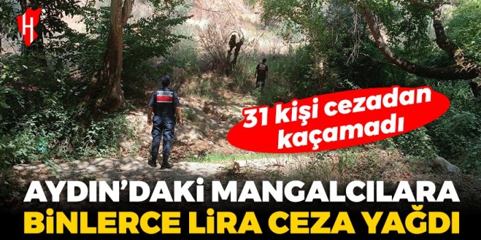 Aydın'da mangalcılara binlerce lira ceza yağdı!