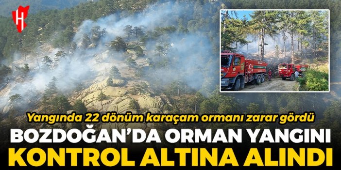 Bozdoğan'daki orman yangını kontrol altına alındı