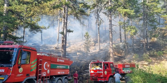 Bozdoğan Kaymakamlığı'ndan orman yangını uyarısı