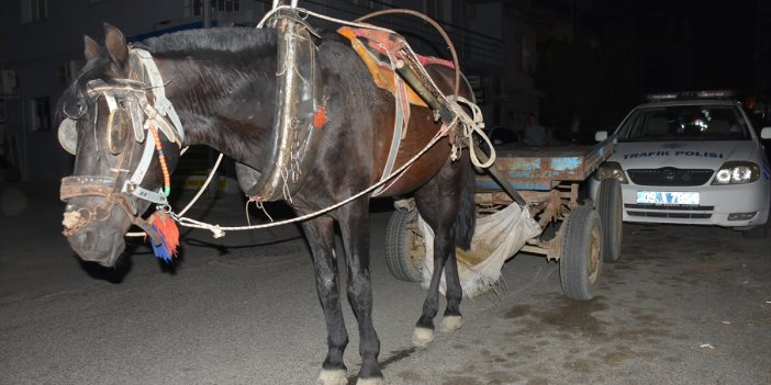 Aydın'da ilginç görüntü: Trafikte alkollü at arabası kullanan kişiye para cezası!