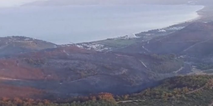 Sabahın ilk ışıklarıyla yangına havadan müdahale başladı! Hasar böyle görüntülendi