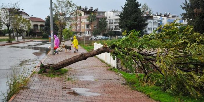 Aydınlılar dikkat…Kuvvetli rüzgar ve fırtına geliyor!