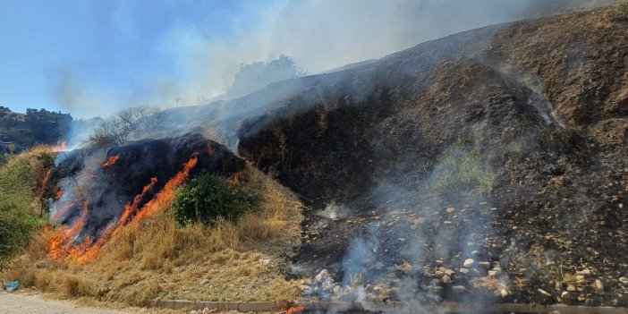 Aydın'da yangın! Aytepe Mesire Alanı alev alev yanıyor..