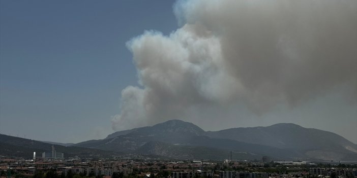 İzmir'de orman yangını! Havadan ve karadan müdahale ediliyor