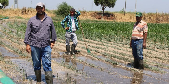 Günlük 2 bin liraya çalışacak işçi bulamıyorlar!