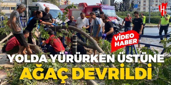 Yolda yürüyen kadının üzerine ağaç dalı düştü! Ölümden kıl payı kurtuldu