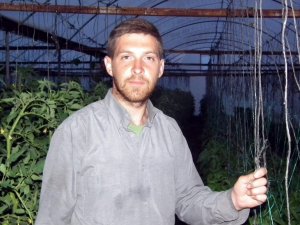 12 ay boyunca domates, biber ve salatalık üretiyor