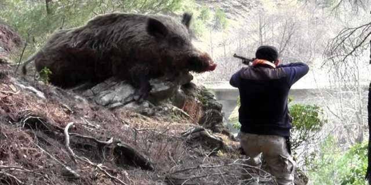 Domuz sandı kayınçosunu vurdu! Talihsiz adam can verdi