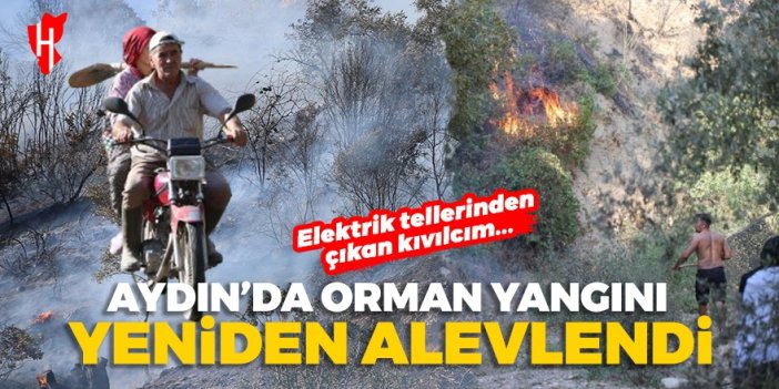 Kontrol altına alınan yangın, yeniden büyüdü! Bölgede vatandaş seferberlik başlattı