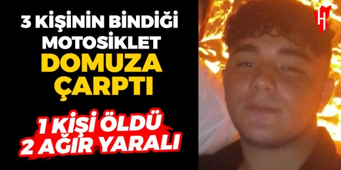 3 kişinin bindiği motosiklet domuza çarptı: 1 ölü, 2 yaralı