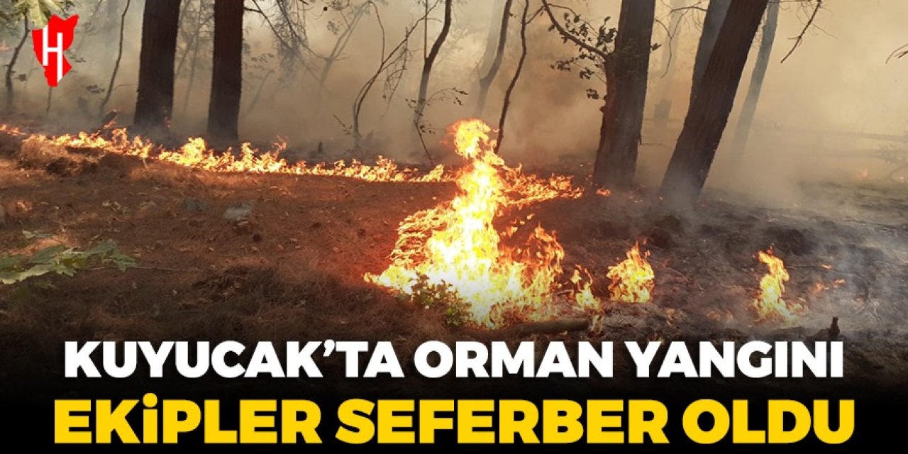 Kuyucak'ta orman yangını çıktı