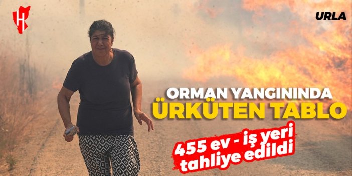 Urla'daki orman yangının bilançosu artıyor: 455 ev ve iş yeri tahliye edildi