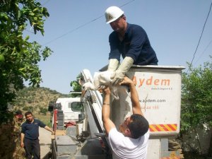 Çine'de Mahsur Kalan Leylekler Kurtarıldı