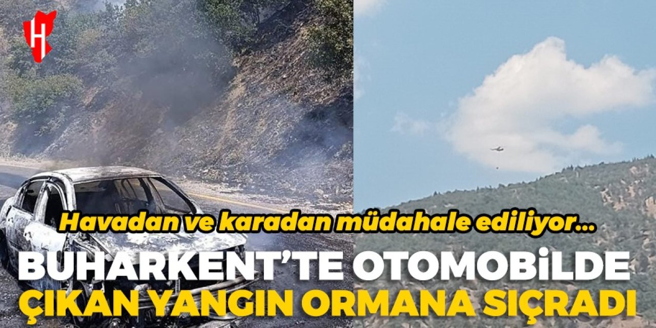 Buharkent'te otomobilde çıkan yangın ormana sıçradı: Havadan ve karadan müdahale ediliyor