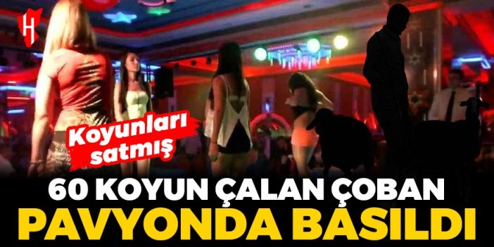 Çaldığı koyunların parasıyla pavyonda eğlenen çoban yakalandı