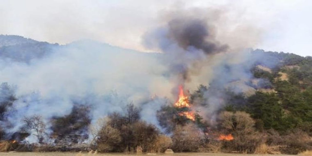 Nazilli’de Karıncalı Dağı yanıyor! Karadan ve havadan müdahale ediliyor