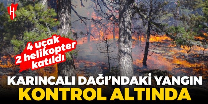 Karıncalı Dağı’ndaki orman yangını kontrol altına alındı