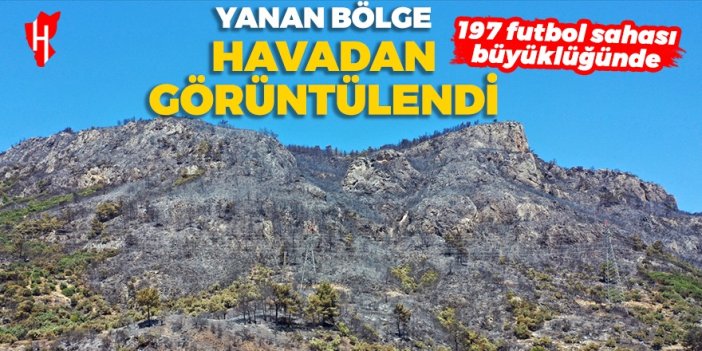 Aydın'daki yangında bilanço: 197 futbol sahası büyüklüğünde alan yandı