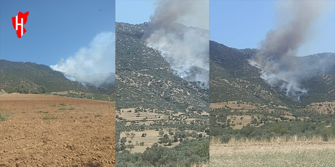 Nazilli'de makilik alanda çıkan yangın kontrol altına alındı