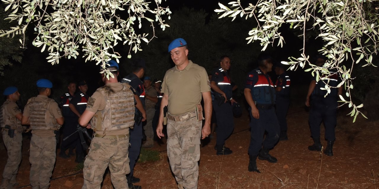 Jandarma, incir ve zeytin bahçeleri için teyakkuzda! Hırsızlara göz açtırmıyorlar