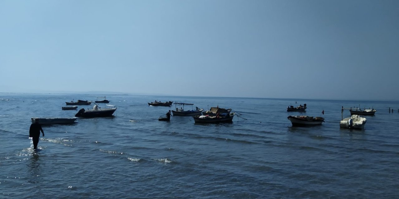 Büyük Menderes Nehri'nde su ürünleri denetlendi