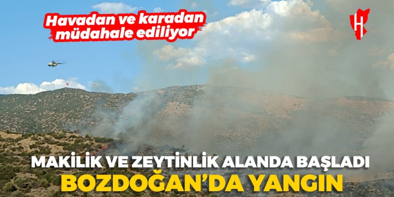 Bozdoğan’da makilik ve zeytinlik alanda yangın çıktı