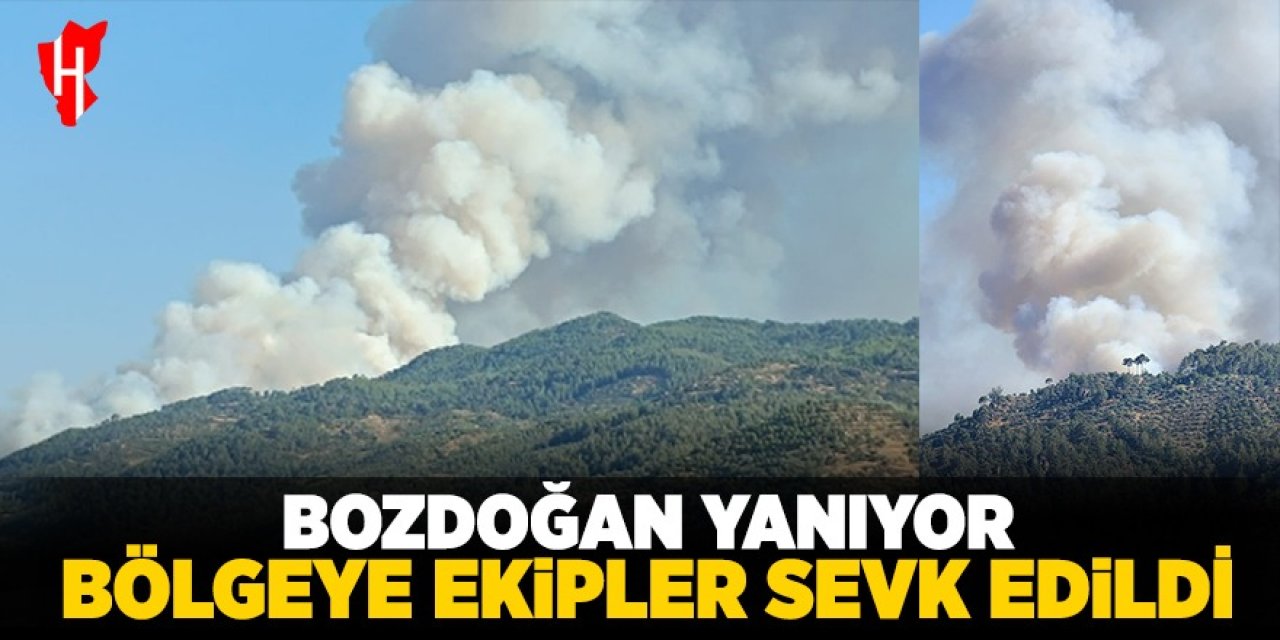 Bozdoğan'da ormanlık alanda yangın çıktı!