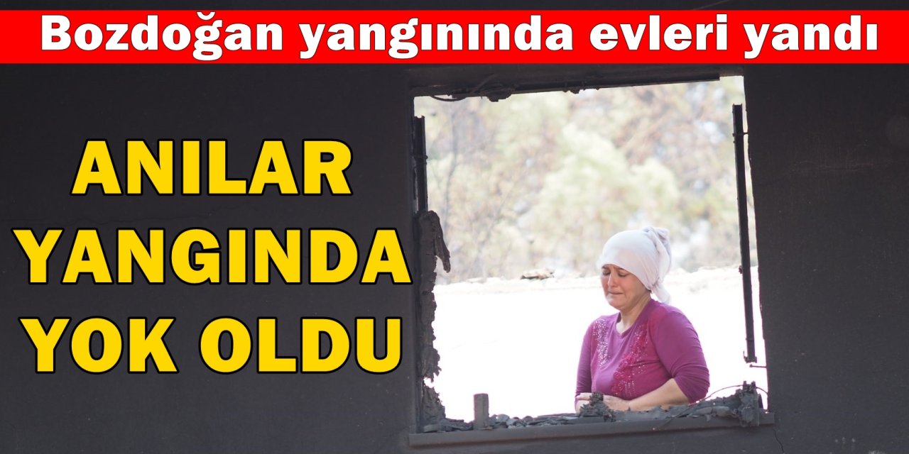 Bozdoğan'daki orman yangınında evleri yandı