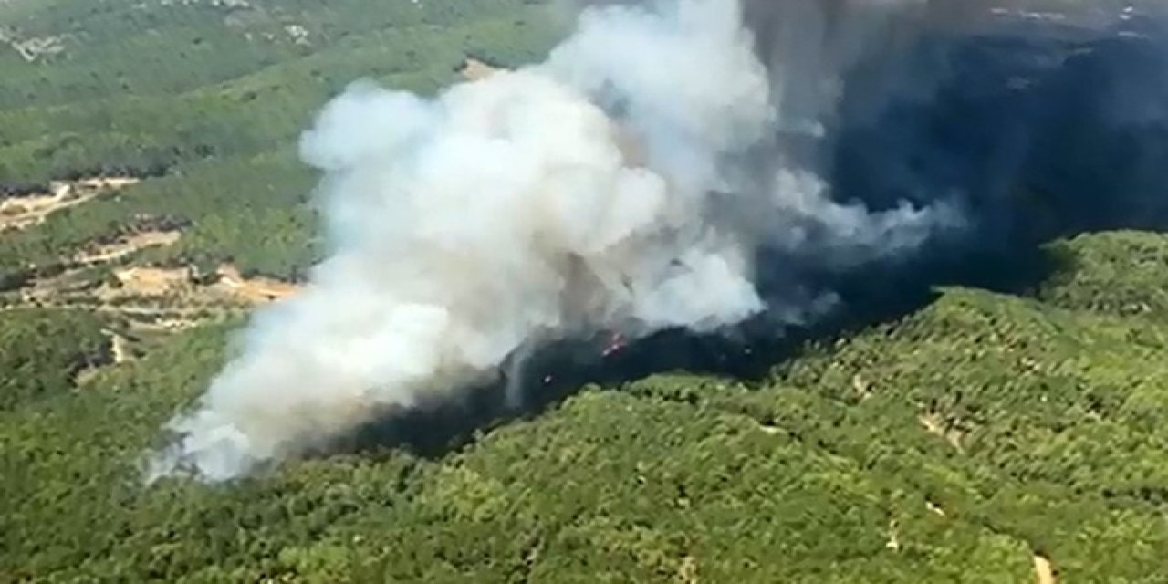 Muğla'da iki ayrı noktada orman yangını çıktı