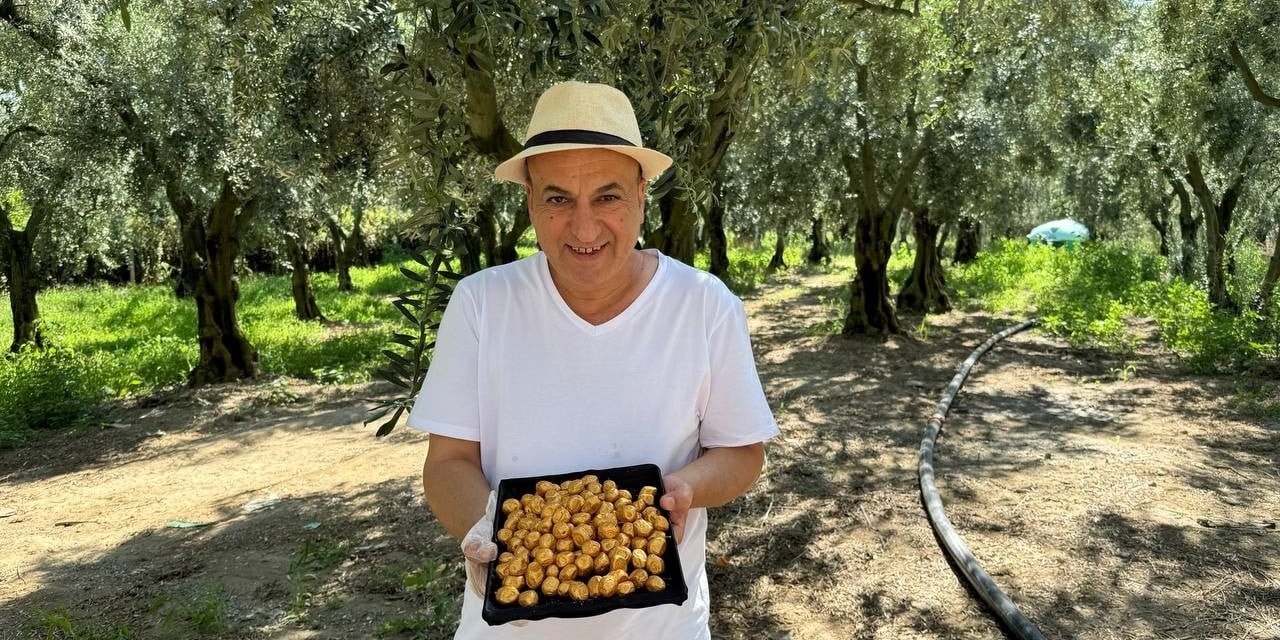 Bu da oldu... Altın kaplamalı zeytin yok satıyor: Ortadoğu'nun zenginlerinden büyük talep