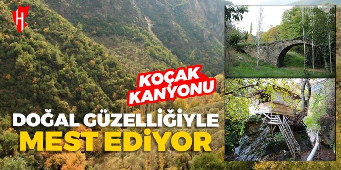 Aydın'da bir doğa harikası: Koçak Kanyonu