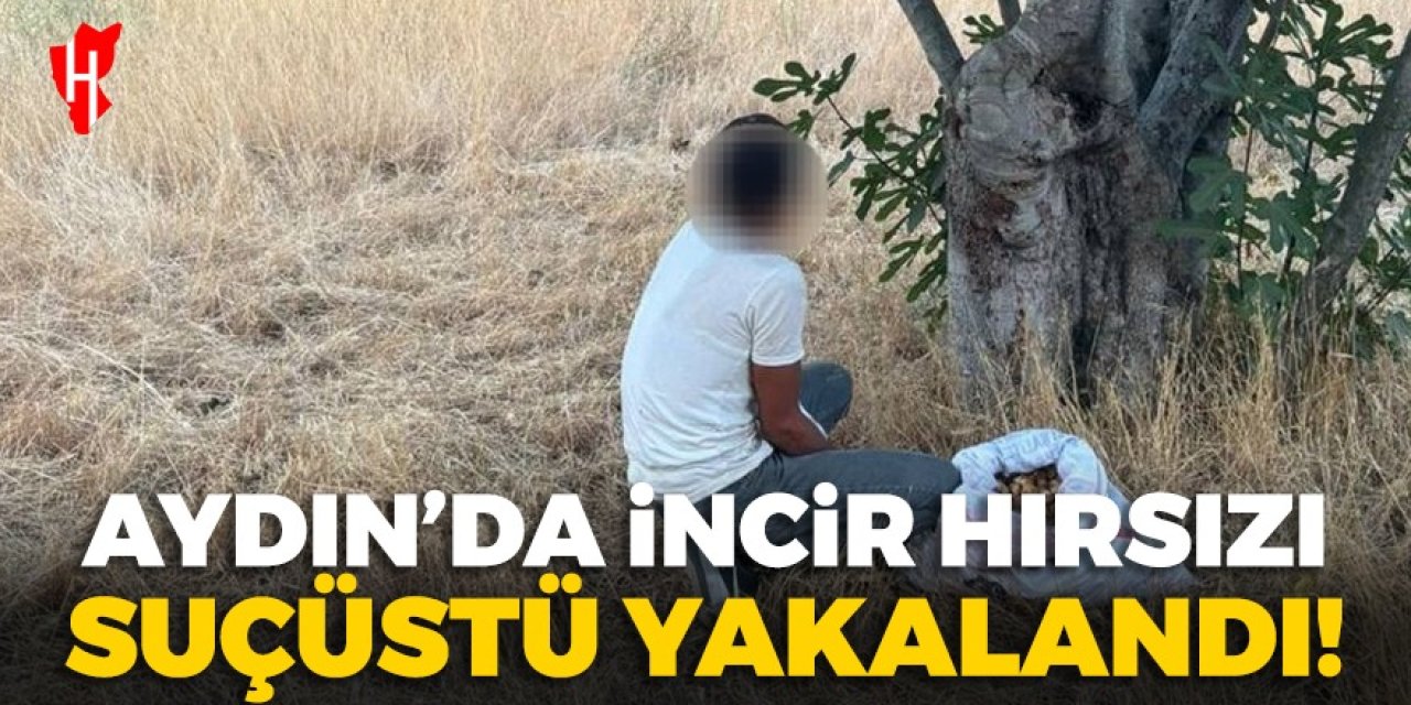 İncir hırsızına suçüstü!