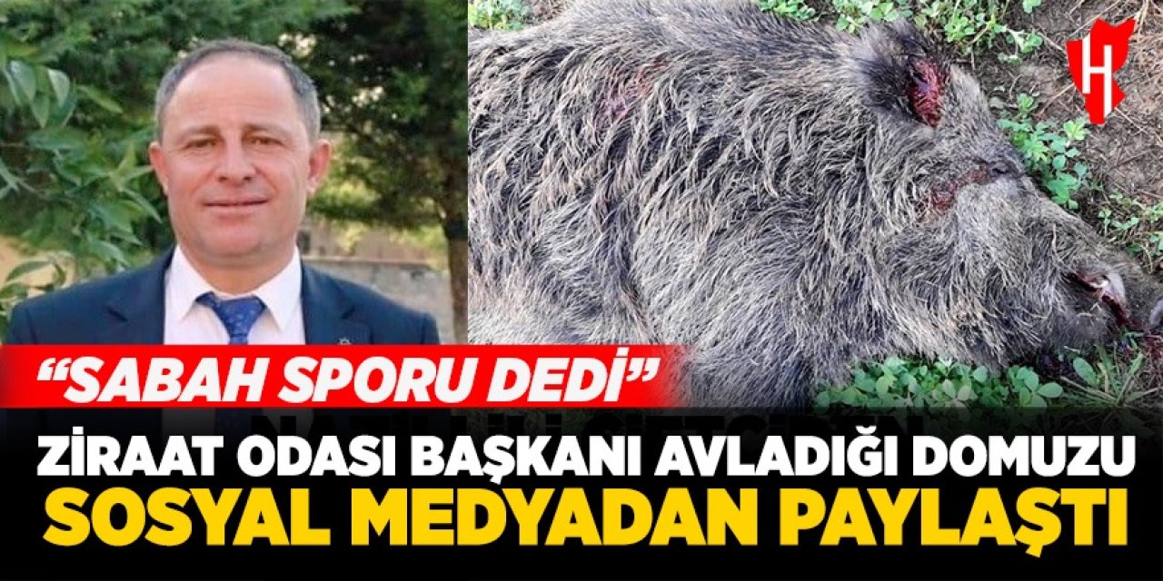 Başkan Yılmazoğlu’ndan sabah sporu: Avladığı domuzu sosyal medyada paylaştı