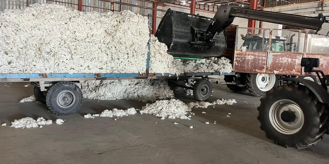 Söke Tariş sezonun ilk pamuğunu aldı