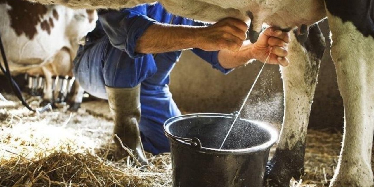 Üreticiler dikkat! Çiğ süt desteklemesi icmalleri askıya çıkarıldı