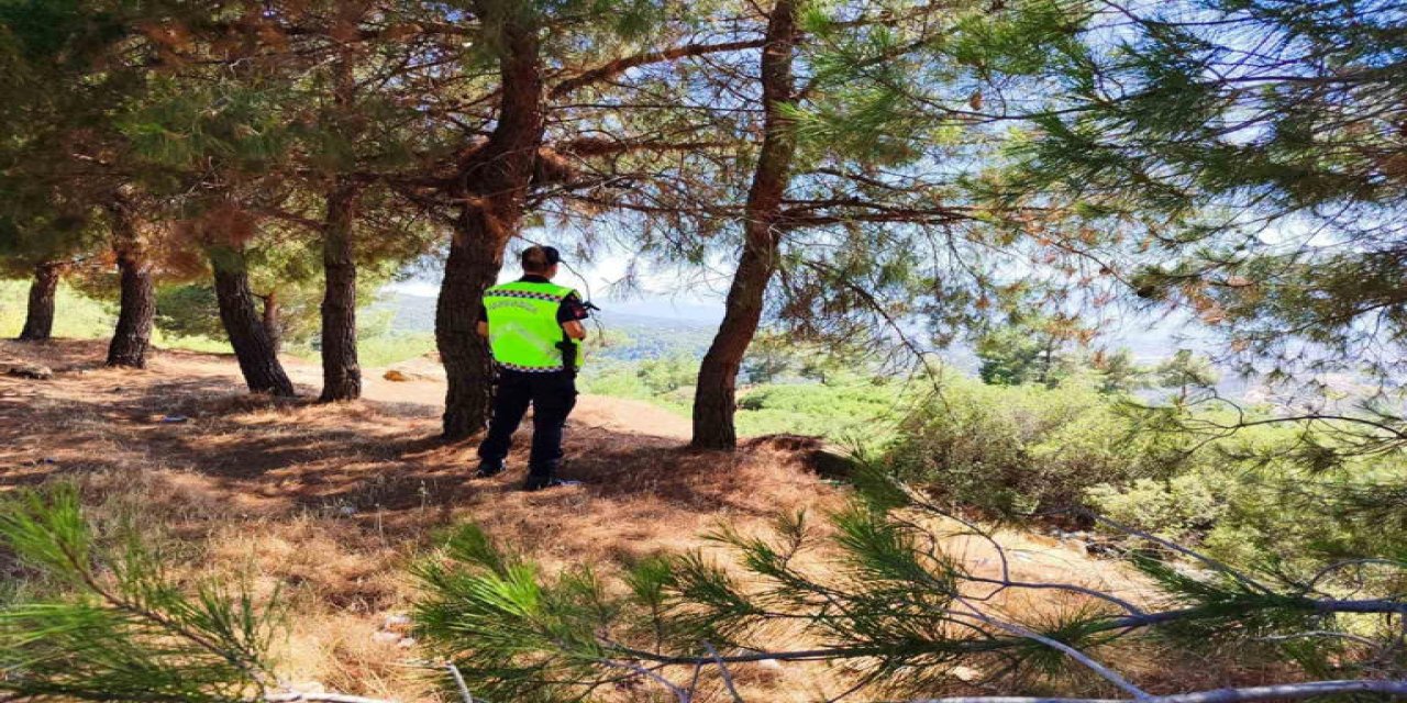 Aydın’da yasak ormanlık alana giren 31 kişiye para cezası!