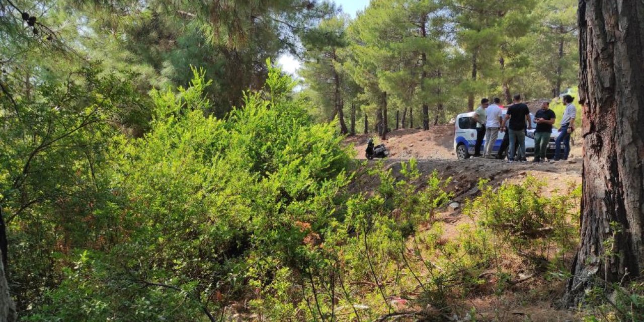 Bu nasıl vicdan! Ormanlık alanda terk edilmiş yeni doğmuş bebek bulundu