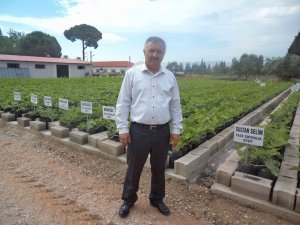İncir Fidanları Korumaya Alındı