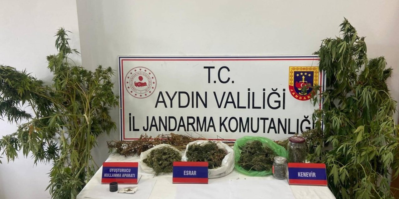 Mısır tarlasında uyuşturucu yetiştirdiği ortaya çıktı: Gözaltına alındı!